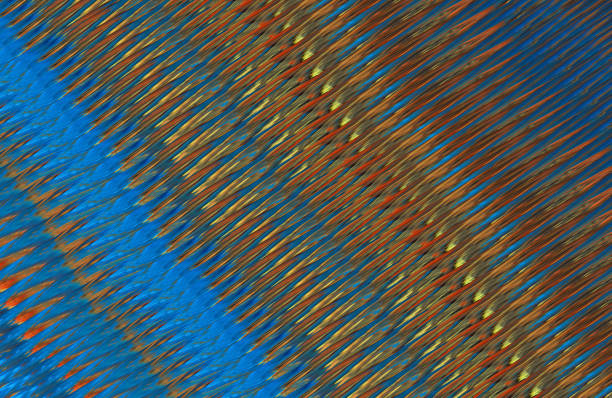 istock Covers design,colorful gradients,future geometric patterns,modern abstract covers set,shapes and composition 973480634