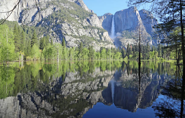 istock Morning in Yosemite Valley 973481012