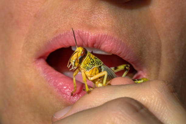 istock woman grasshopper insect 973481222