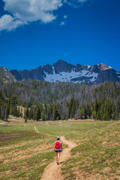 istock Girl at Beehive Basin 973488230