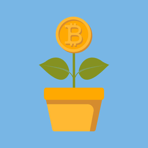 istock The concept of bitcoin growth. A plant with a growing bitcoin. Blockchain. Flat style. Vector image. 973488658