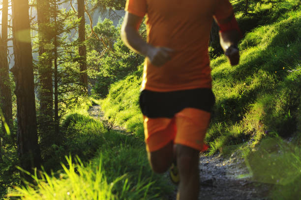 istock Man trail running in the forest 973492786