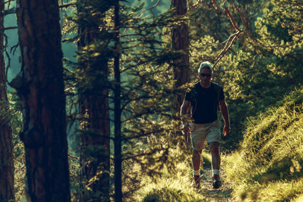istock Senior man trail hiking in a mountain forest 973492788