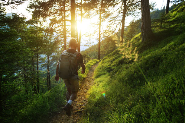 istock Senior man trail hiking in a mountain forest 973492868