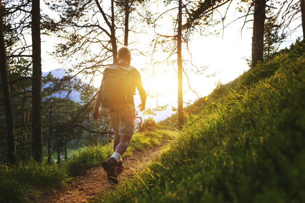 istock Senior man trail hiking in a mountain forest 973492890