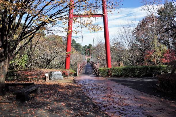 istock Walk on the red suspension bridge in mountain 973512634