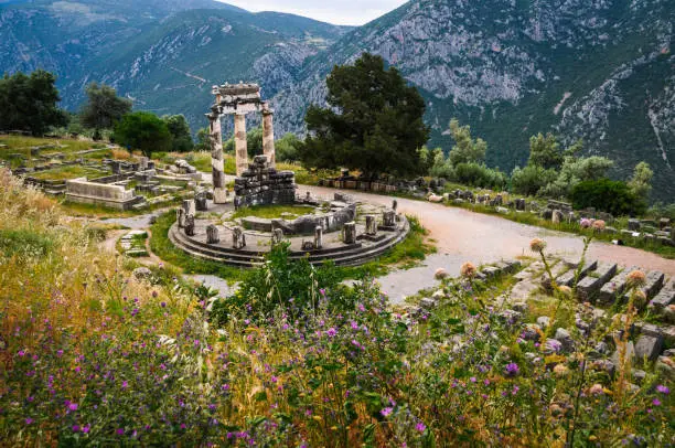 Wildflowers bloom on the hills surrounding the Tholos of Delphi .constructed between 380 and 360 BC. It Consisted of 20 Doric columns arranged with an exterior diameter of 48 1/2 feet, with 10 Corinthian columns in the interior.