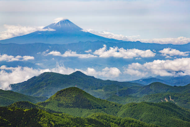 istock Fresh green and Mt. Fuji 973518796