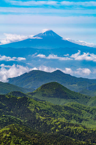 istock Fresh green and Mt. Fuji 973518856