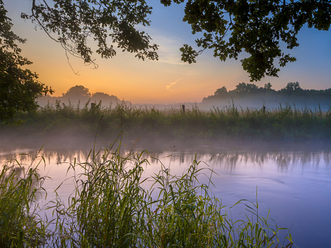 River the Dinkel with lush vegetation on bank in Twente on an early summer morning with haze over the countryside in the Netherlands