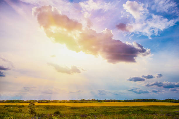 istock cloudy sky and the sun on the field 973531844