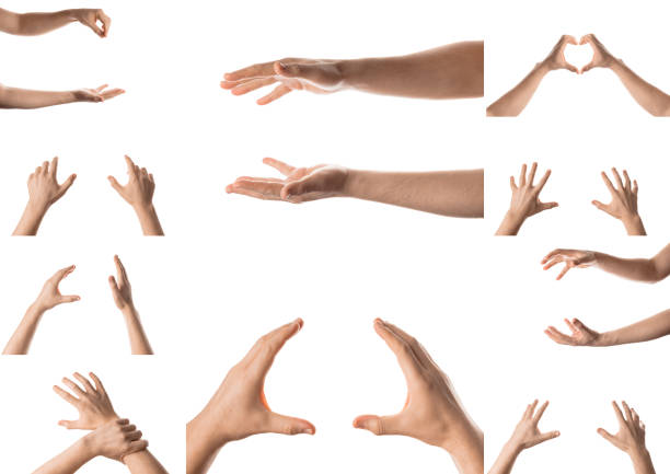 istock Man hand with the various gesture, open hand, pointing finger, hitting each other, fingers crossed, hold, grab, catch, fist, showing numbers. Isolated on white background. Collage of set photos. 973534938