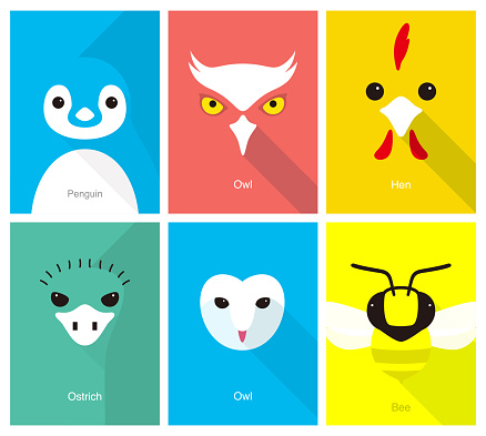 animal cartoon face, flat face icon, vector