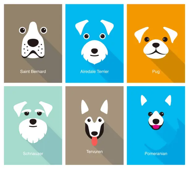 Vector illustration of animal cartoon face, flat face icon, vector illustration