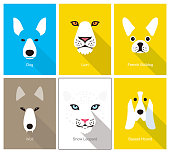 istock animal cartoon face, flat face icon, vector illustration 973539650