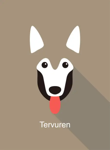 Vector illustration of Tervuren dog face flat icon design, vector illustration