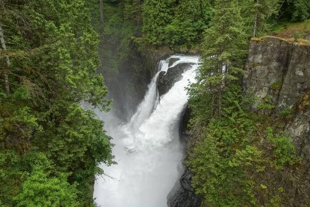 istock Elk Falls Waterfall Vancouver Island BC Canada 973540042