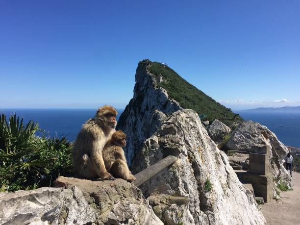 rocher de gibraltar - rock of gibraltar photos et images de collection