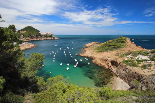 s'eixugador pequena praia perto de bela aldeia e praia de sa atum - mediterranean countries gerona catalonia spain - fotografias e filmes do acervo