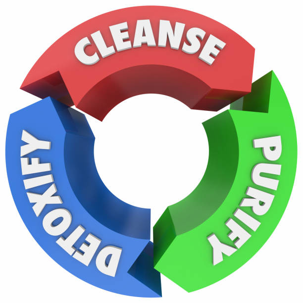 istock Cleanse Purify Detoxify Cycle Process Words 3d Render Illustration 973550394