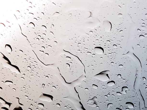 istock Bubble of rain drop 973550478