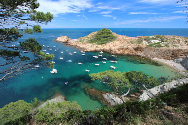 s'eixugador pequena praia perto de bela aldeia e praia de sa atum - mediterranean countries gerona catalonia spain - fotografias e filmes do acervo