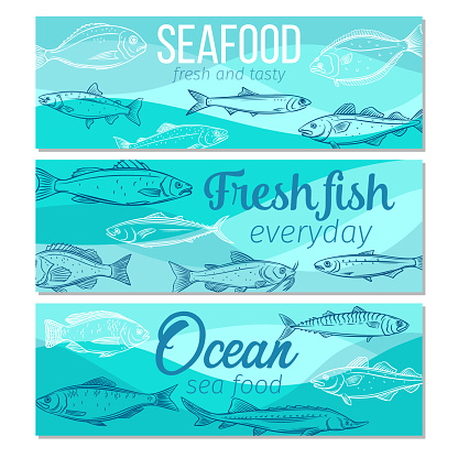 Set vector banners hand drawn fish. Seafood design with salmon, anchovy, codfish, sea bass, ocean perch and sardine. Sketch mackerel, herring, dorado, tuna, halibut, tilapia and trout.