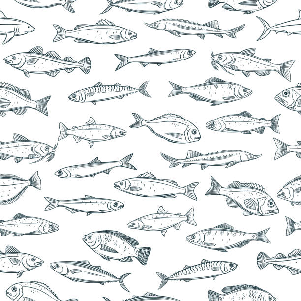 seamless pattern hand drawn fish Vector seamless pattern hand drawn fish. Retro background with seafood tilapia, ocean perch, sardine, anchovy, sea bass, dorado and etc. bass fish stock illustrations