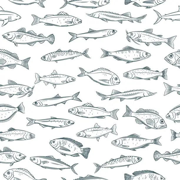 Vector illustration of seamless pattern hand drawn fish
