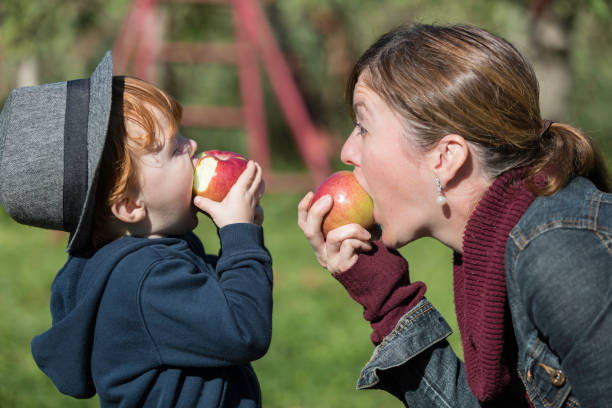 joven madre y su hijo recogiendo manzanas en el huerto - apple orchard child apple fruit fotografías e imágenes de stock