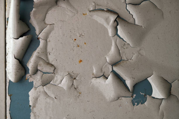 istock Paint peeling on an old steel door with clipping path 973593708