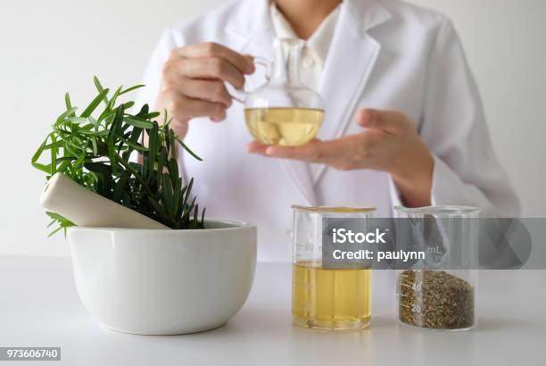 Doctor Woman Scientist Making Herbal Medicine In Lab With Herb Leaves Vitamin Supplements Mineral Alternative Treatment Research Stock Photo - Download Image Now