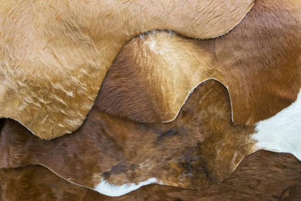brown and white cow skin texture
