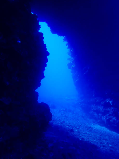 istock Lava arch underwater in Hawaii 973643946