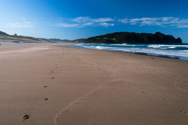 South african bays
