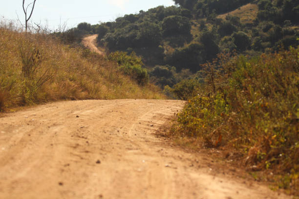 Winding safari dirt road