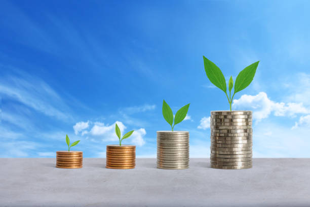 istock Stacks of coins 973658210