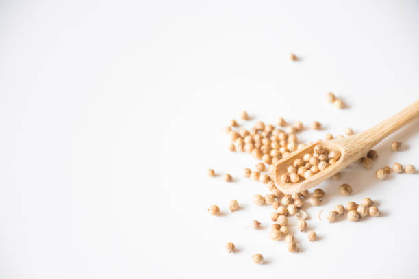 istock Dry coriander seeds with small bamboo spoon 973664284