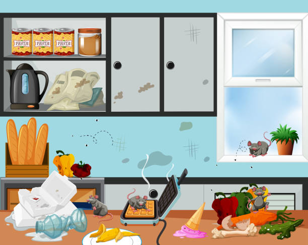 A Messy And Unsanitary Kitchen Stock Illustration - Download Image Now -  Kitchen, Messy, Dirty - iStock