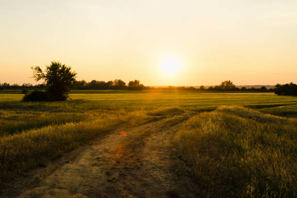 istock Sunset in countryside landscape. 973667736
