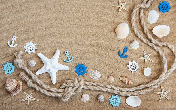 istock Seashells and sea decorations with rope 973673656