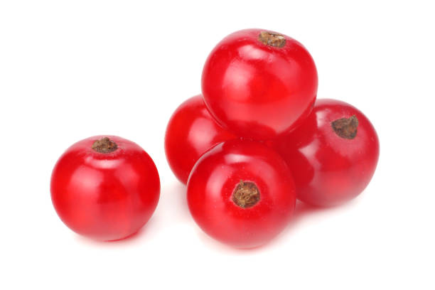 istock red currant isolated on a white background. macro. healthy food 973682394