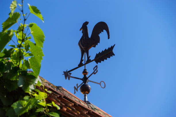 vana meteorologica in metallo sul tetto - roof roof tile rooster weather vane foto e immagini stock