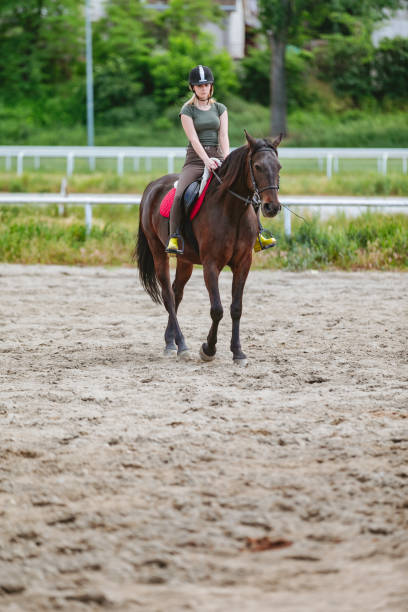 istock Young woman riding a horse 973704750