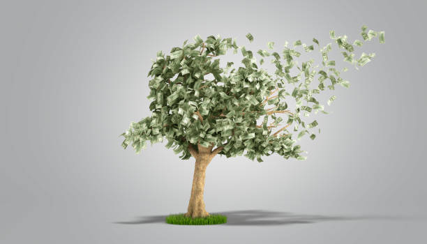 istock dollar tree with hundred dollar bills on grey 3d illustration 973715468