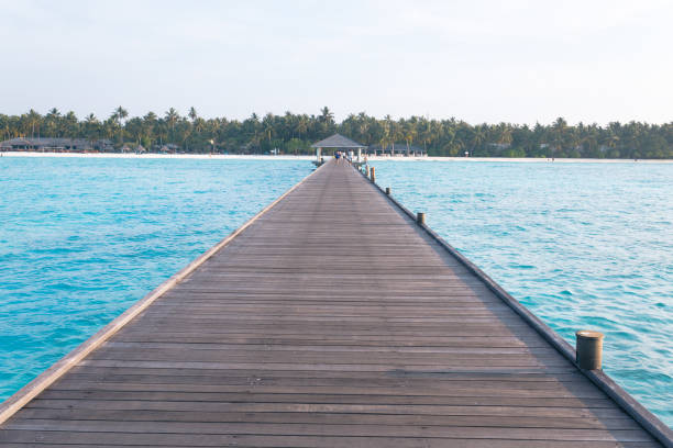 istock Endless Dock in the Maldives 973722906
