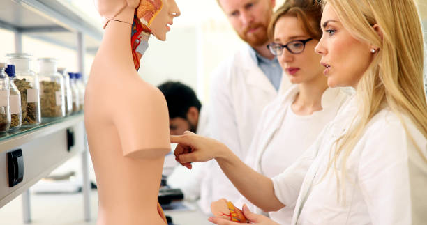 istock Students of medicine examining anatomical model in classroom 973725634