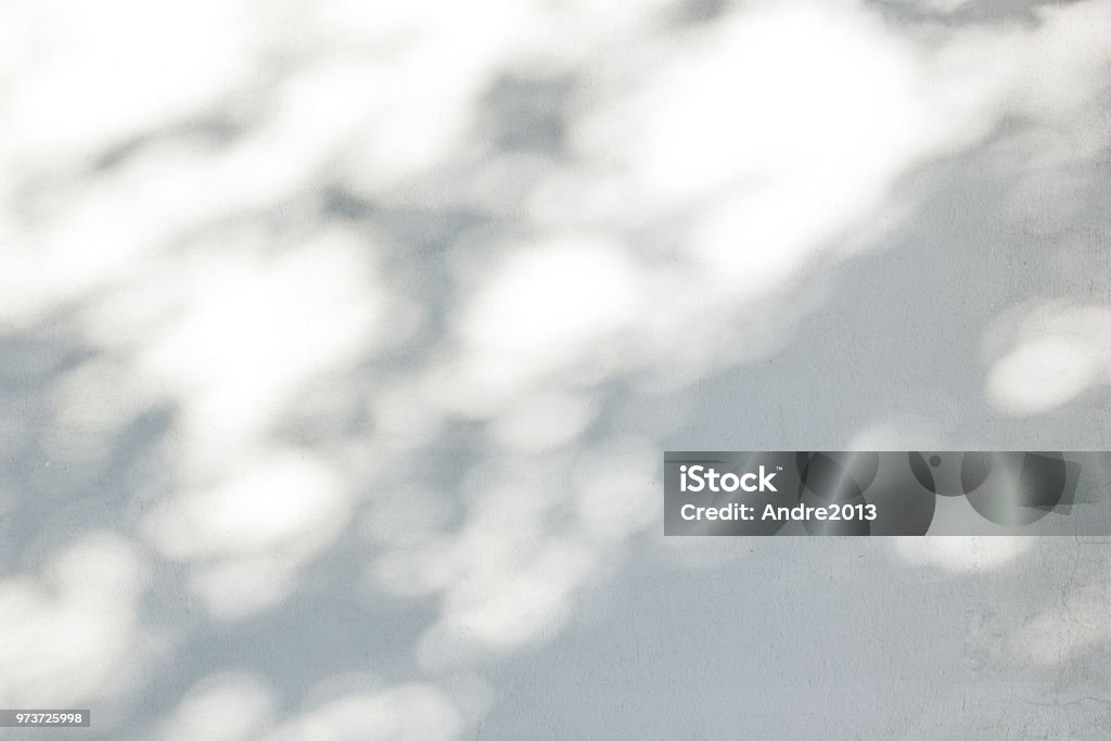 白い壁に映る葉の影 - 影のロイヤリティフリーストックフォト