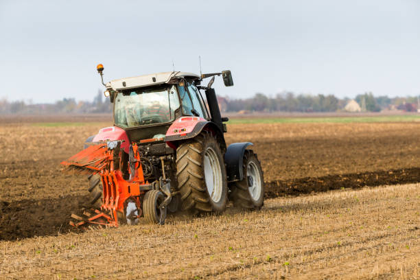 istock Farmer plowing stubble field 973736052