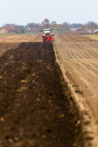 istock Farmer plowing stubble field 973736432